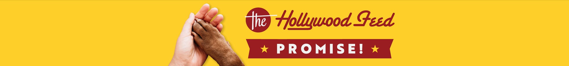 The Hollywood Feed Promise