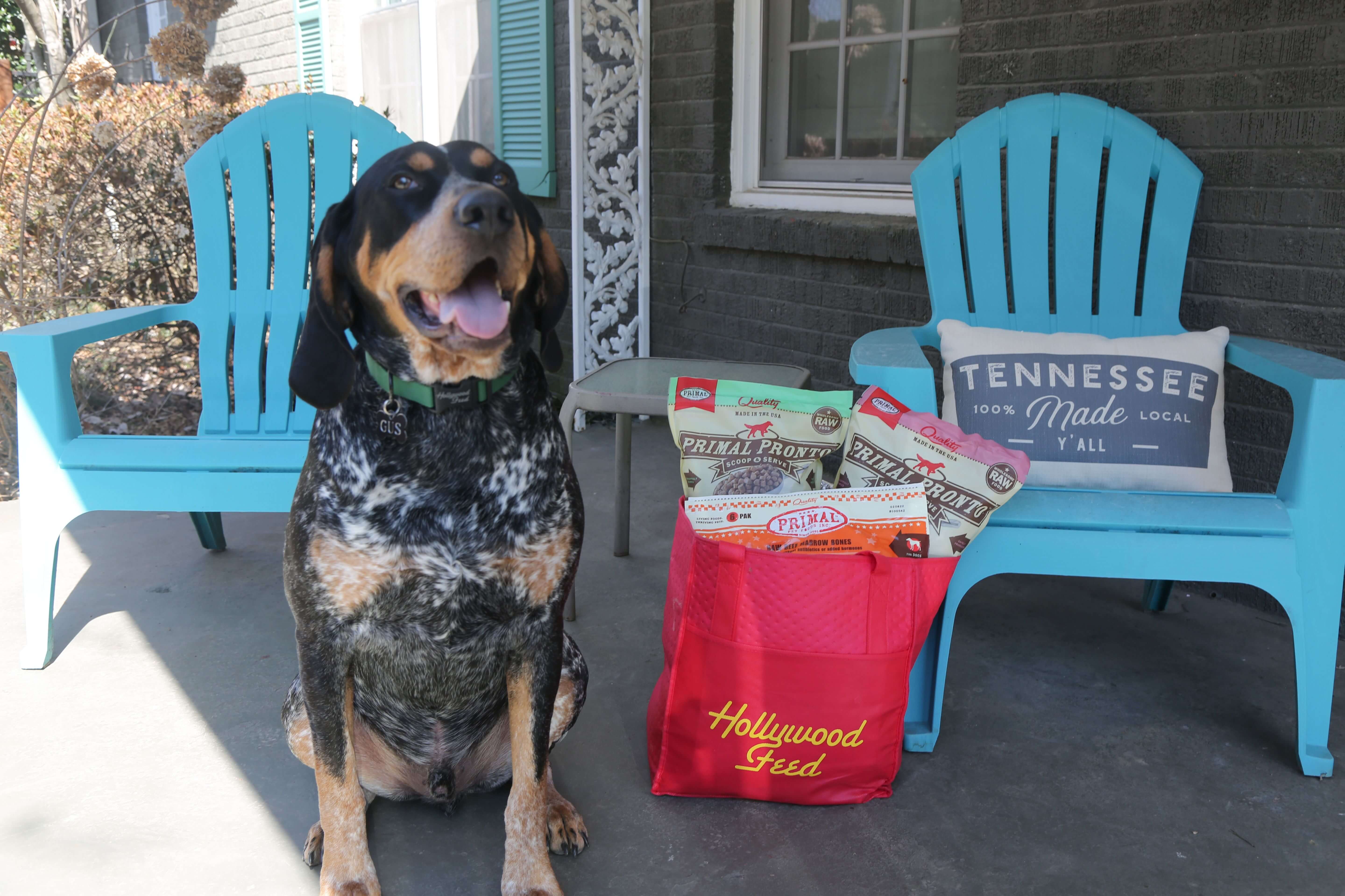 Dog with Delivered Goods