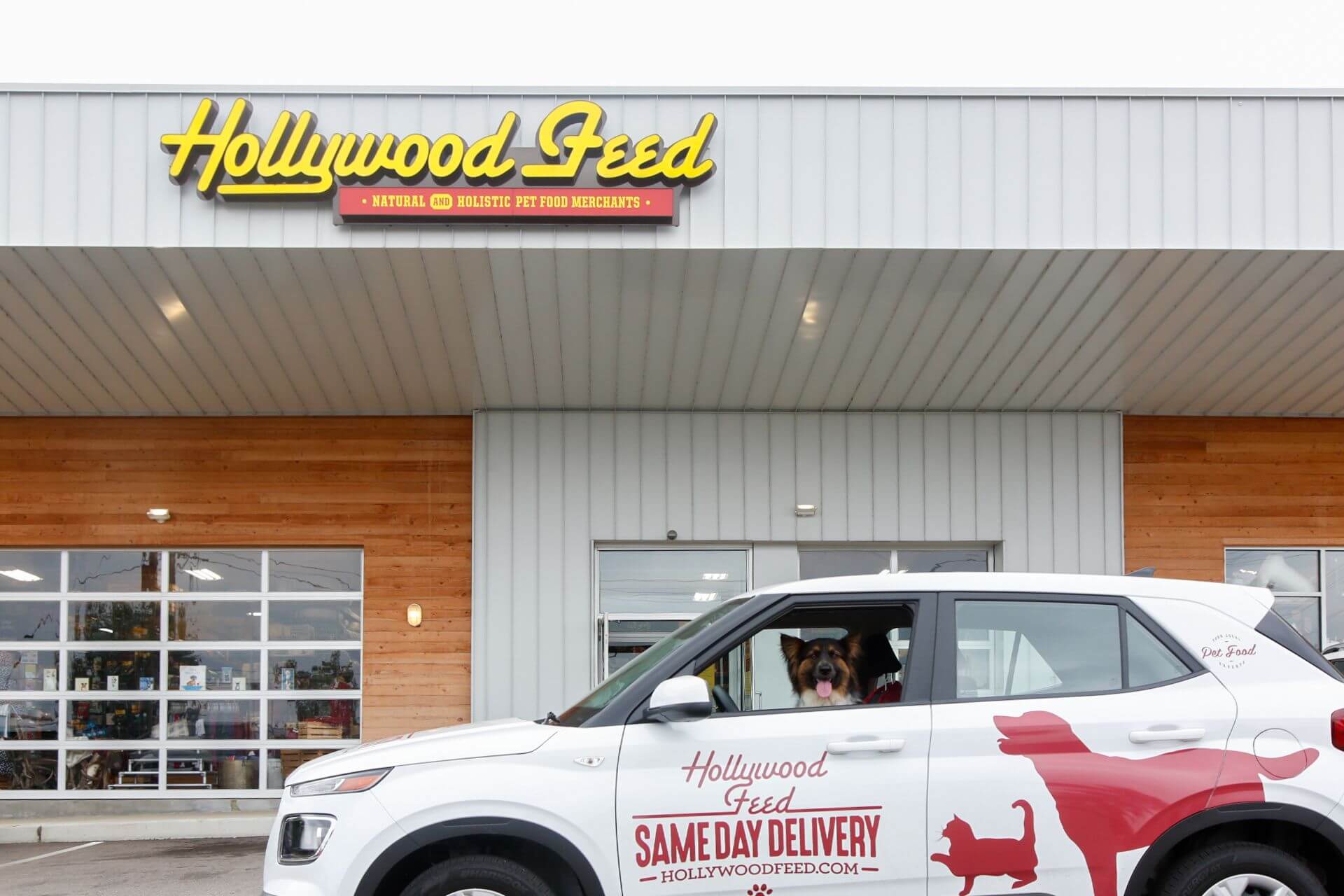 Dog on driver seat of the Same Day Delivery vehicle