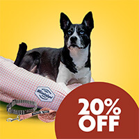 20% Off Mississippi Made Beds, Collars, & Leashes - Shop Now