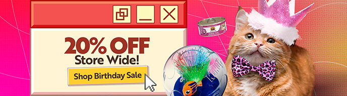 20% Off Store Wide - Shop Birthday Sale!