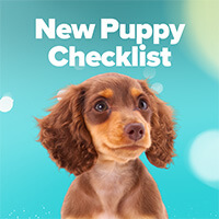 New Puppy Checklist