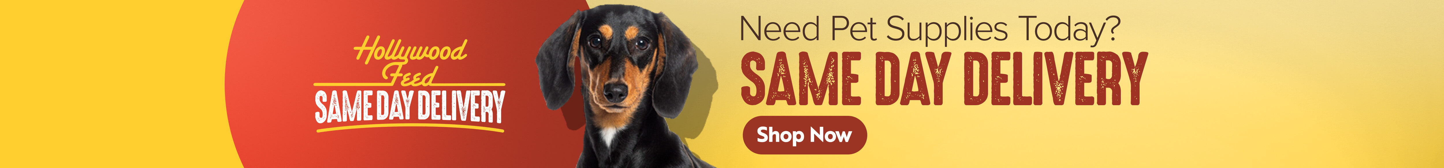 Small Breed Dog Supplies