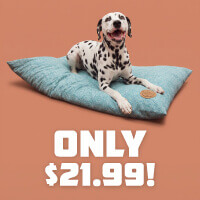 Only $21.99! Mississippi Cut & Sewn Large Pillow - Shop Now