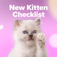 New Kitten Checklist
