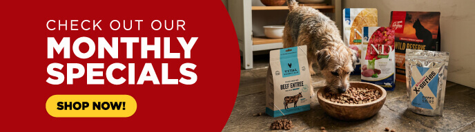 Check out our monthly specials! - Shop Now