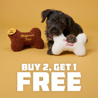 Buy 2, Get 1 Free Hollywood Feed Fleece Bone Toy - Shop Now