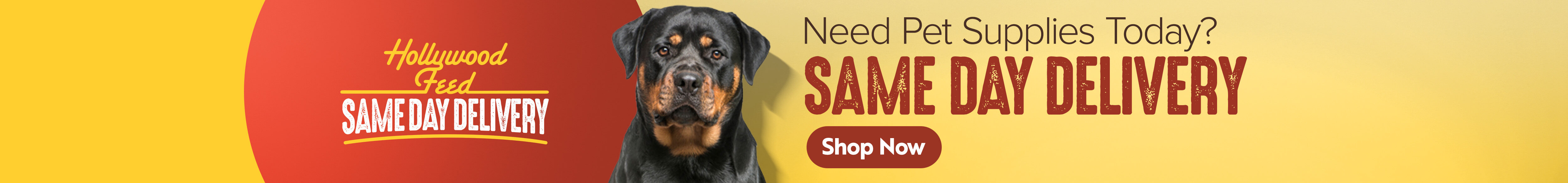 X-Large Breed Dog Supplies