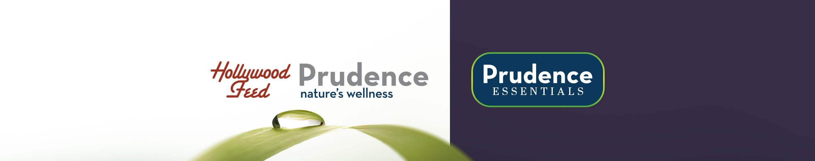Hollywood Feed Prudence natures wellness products