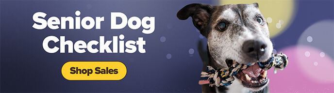 Senior Dog Checklist - Shop Sales