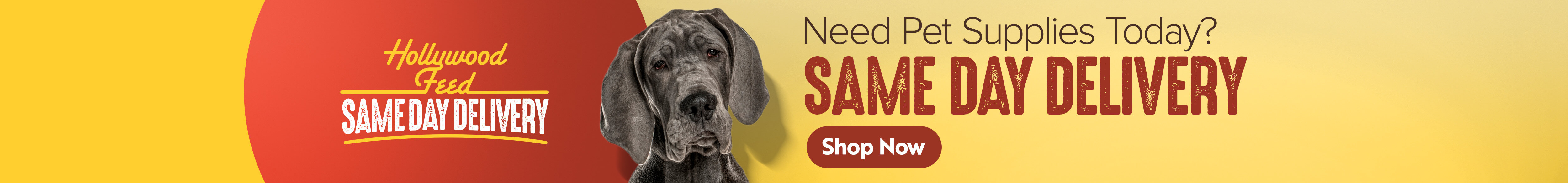 Giant Breed Dog Supplies