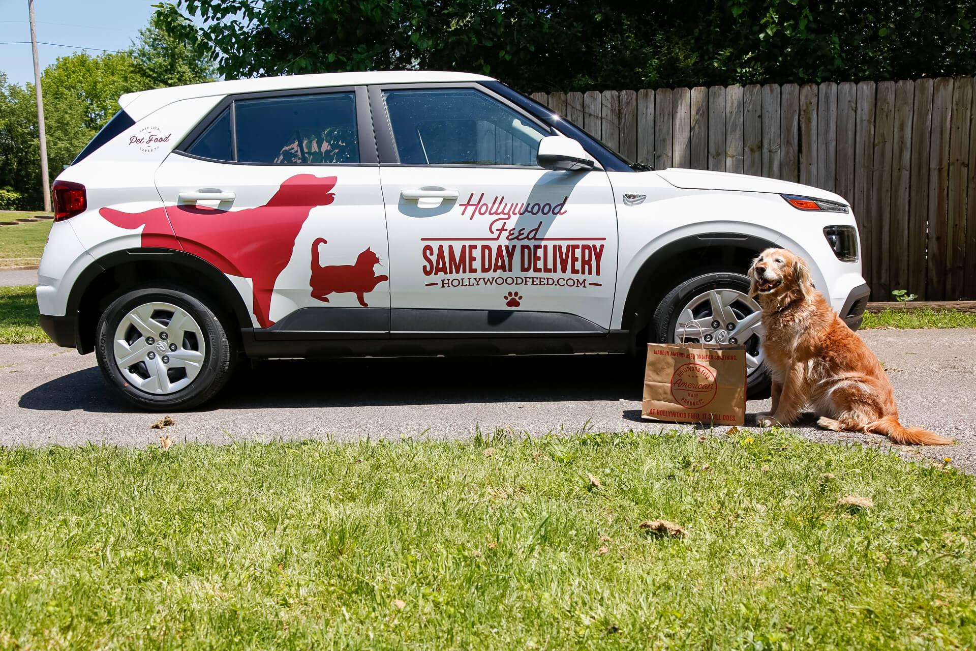 Dog outside Same Day Delivery vehicle with the package