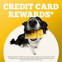 Hollywood Feed Mastercard - Credit Card Rewards