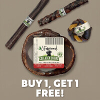 Buy 1, Get 1 Free Lennox Individual Collagen Chews  - Shop Now