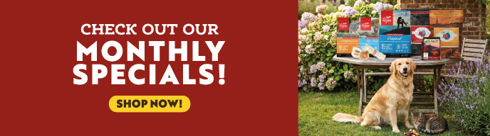 Check out our Monthly Speicals! - Shop Now!