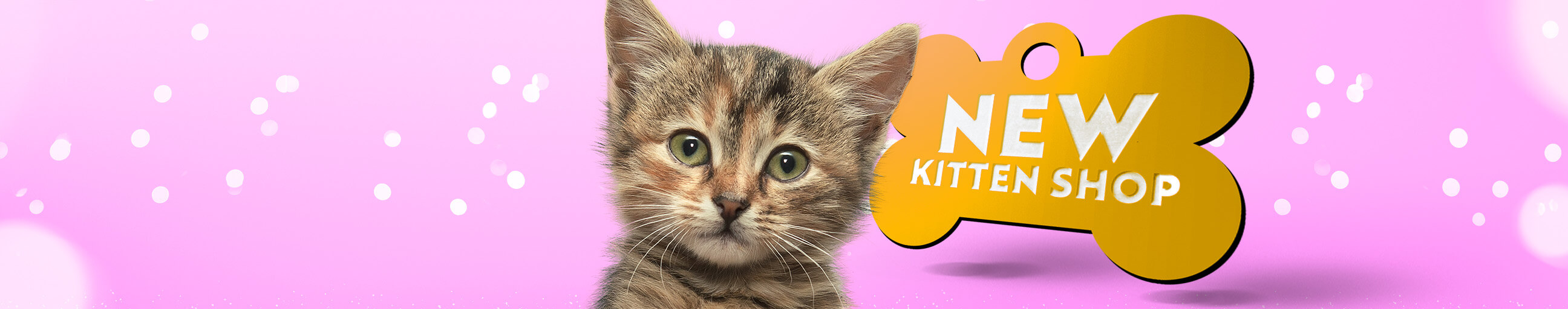 The Kitten Shop