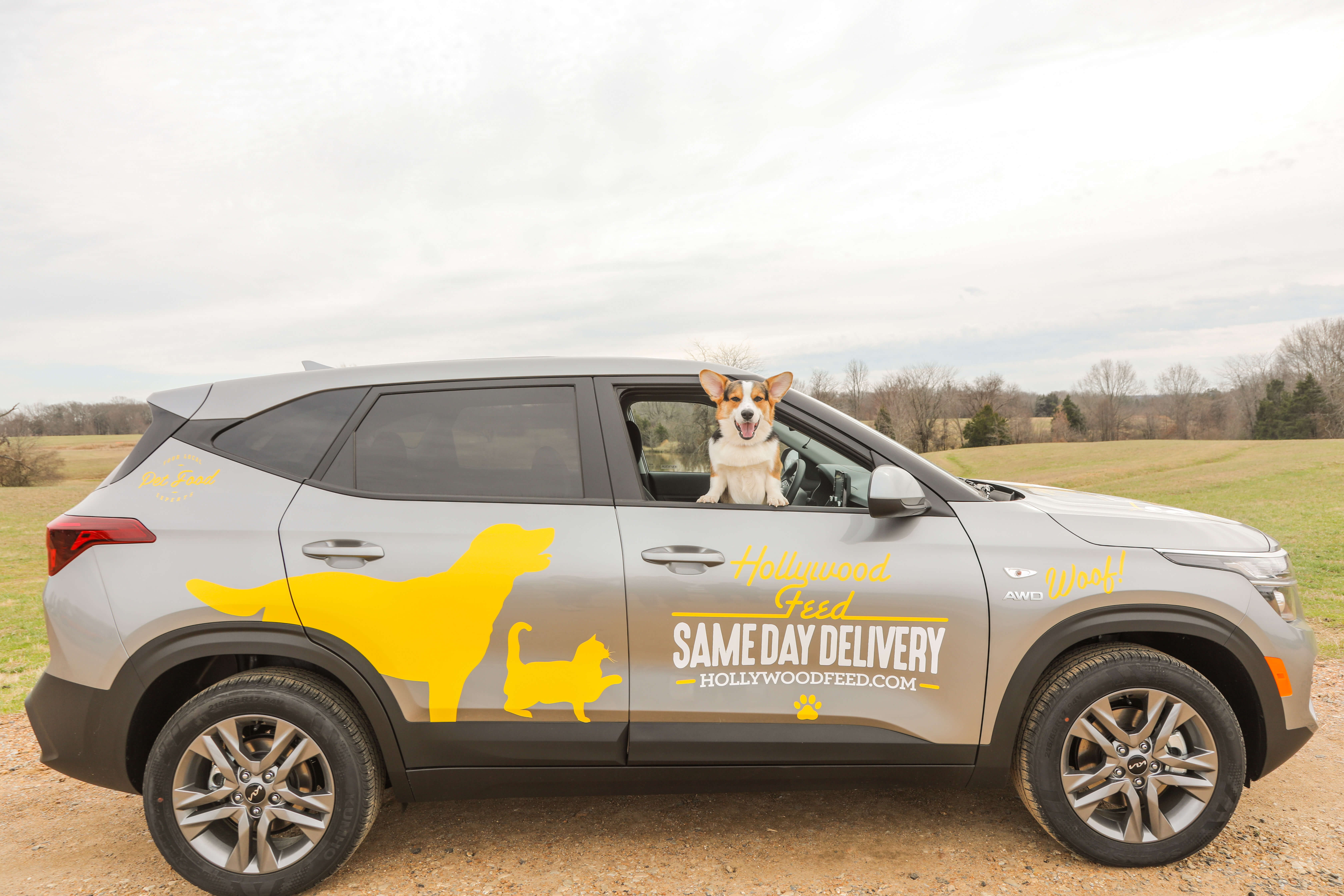 Dog on Passengers Side of the Same Day Delivery vehicle
