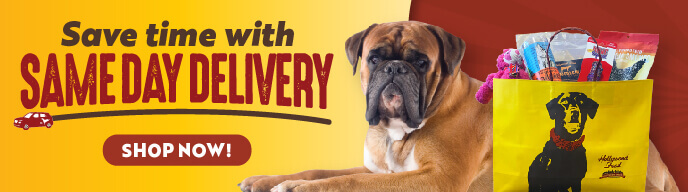 Save tiem with Same Day Delivery - Shop Now