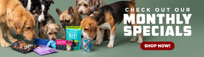 Check Out Our Monthly Specials - Shop Now