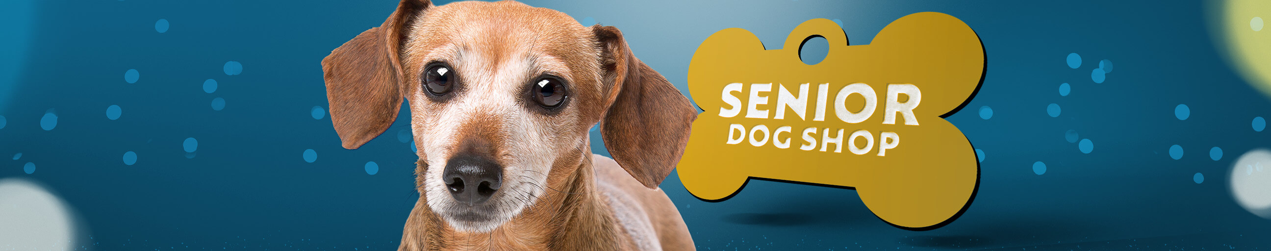 The Senior Dog Shop