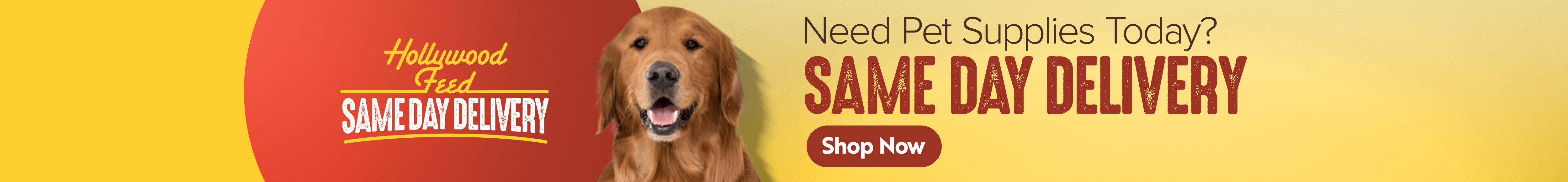 Large Breed Dog Supplies