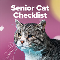 Senior Cat Checklist