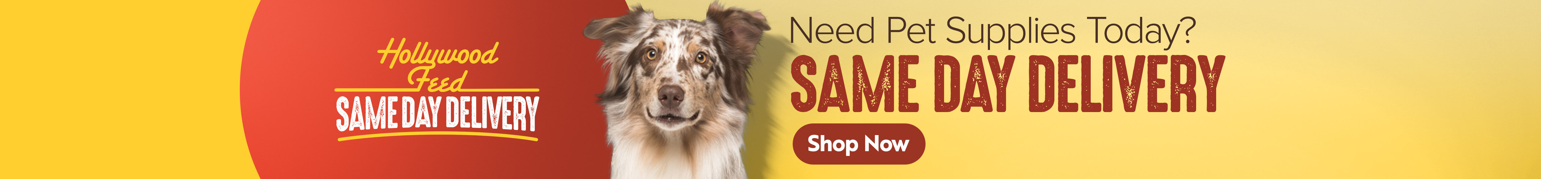Medium Breed Dog Supplies