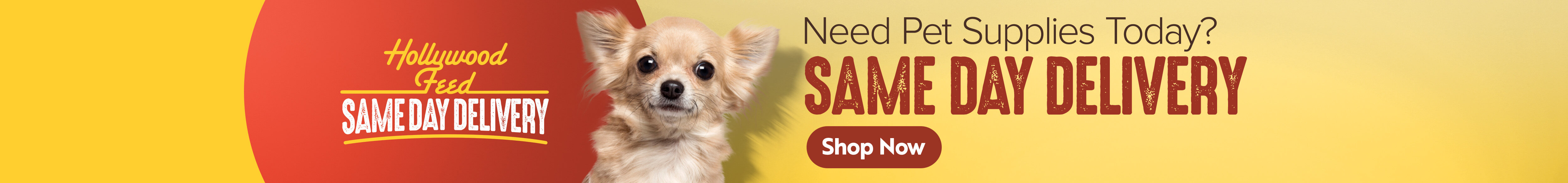 Toy Breed Dog Supplies