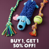 Buy 1, Get 1 50% Off All Mammoth Toys  - Shop Now