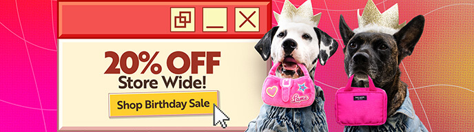 20% Off Store Wide - Shop Birthday Sale!