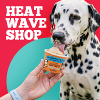 Heat Wave Shop - Shop Now