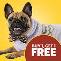 30% Off All Apparel & Bow Ties - Shop Now