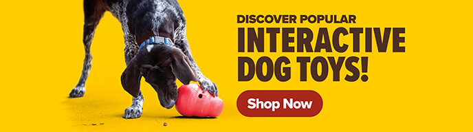 Discover Popular Interactive Dog Toys! - Shop Now