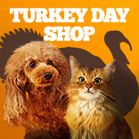 Thanksgiving - Shop Now