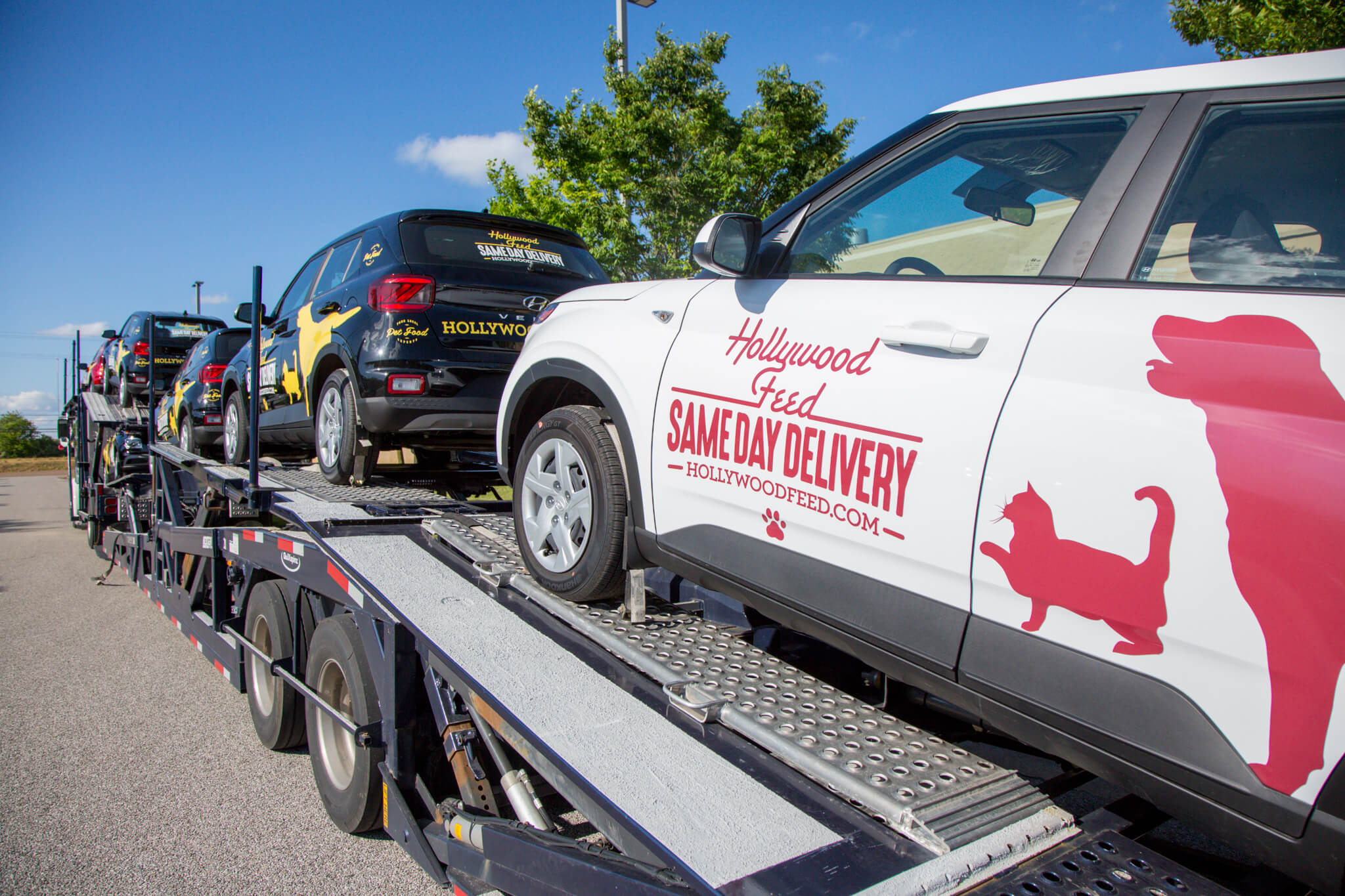 Dog with Same Day Delivery Car and Hollywood Feed Store Front on the background
