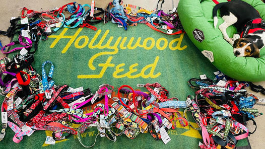 Hollywood Feed display of collars