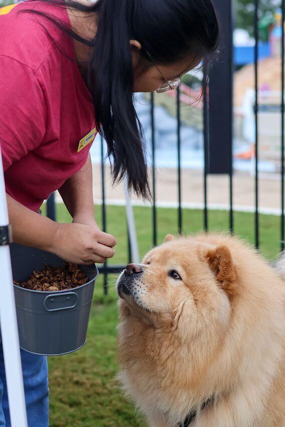 Hollywood Feed staff giving treats to dog