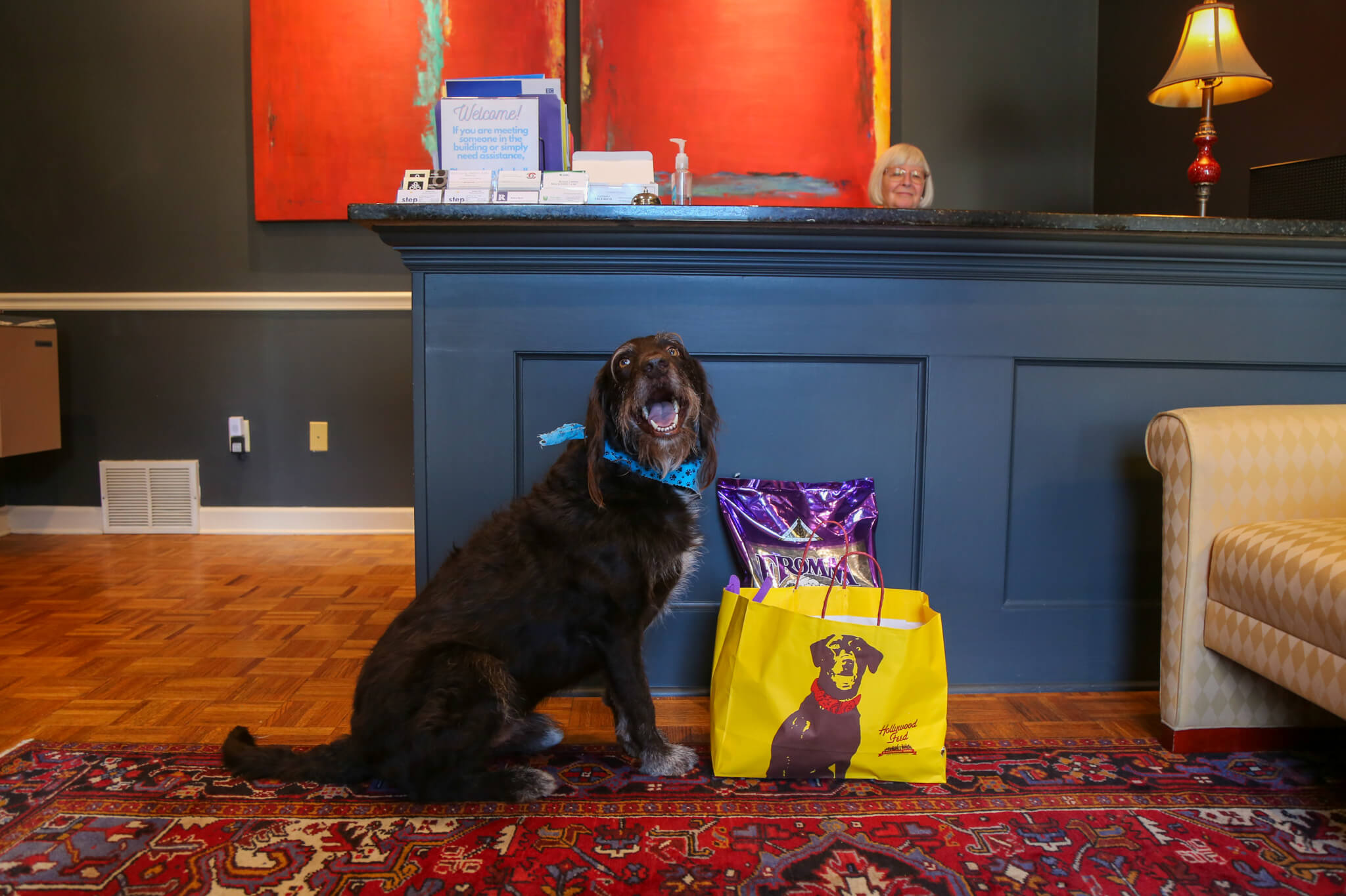 Dog with Same Day Delivery Package and person at a Front Desk
