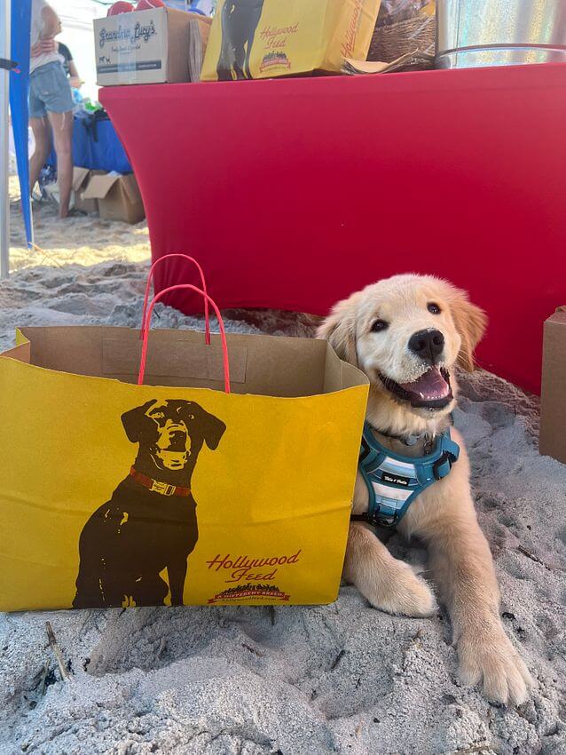 Dog with Hollywood Feed yellow bag on the side