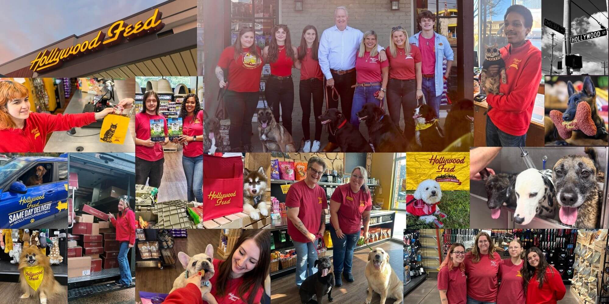 HF Family Photo Collage