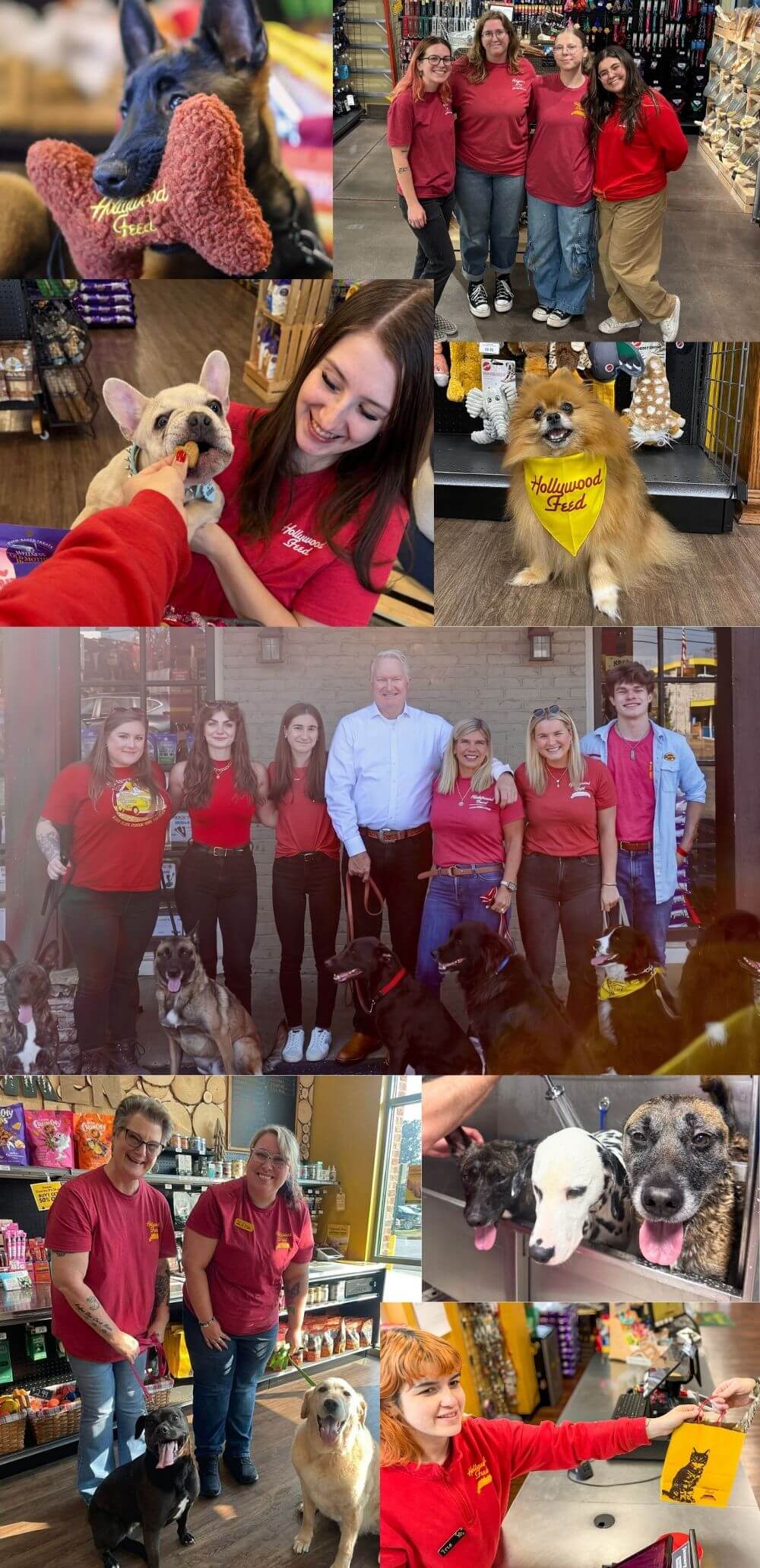 HF Family photo collage
