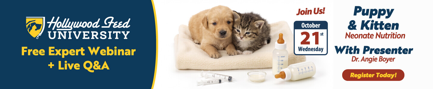 Hollywood Feed University Free Expert Webinar + Live Q&A Puppy & Kitten Neonate Nutrition with Presenter Dr. Angie Boyer - Register Today