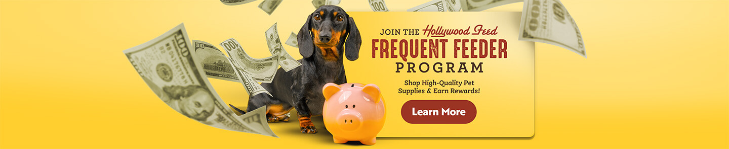Join the Hollywood Feed Frequent Feeder program - Shop High Quality Pet Supplies & Earn Rewards! Learn More