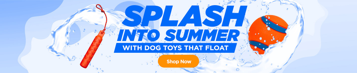 Splash into summer with dog toys that float -Shop Now!